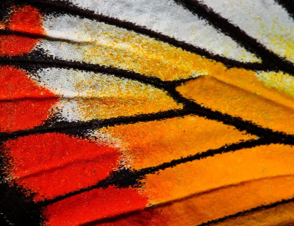 landscape company service header - JLB, Best Web Design and Web Development Company in Nashville, Brentwood, and Franklin