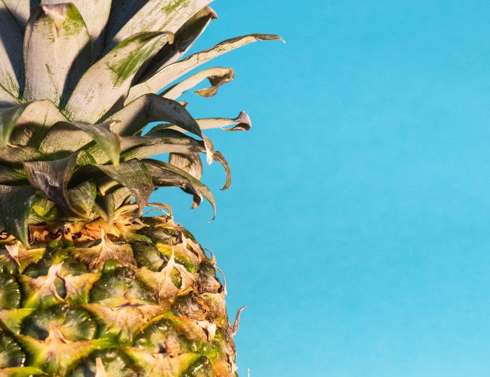 synergy bank header image - JLB, Best Web Design and Web Development Company in Nashville, Brentwood, and Franklin