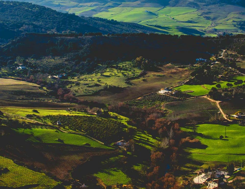 fidelis law firm header image - JLB, Best Web Design and Web Development Company in Nashville, Brentwood, and Franklin