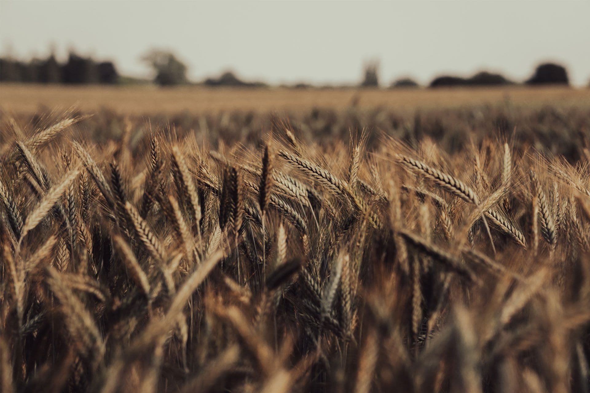 JLB Works - Best Web Design Company - Marketing Agency in Nashville, Franklin, Brentwood, & Spring Hill - Digital Marketing, Website Design, SEO Agency, and more