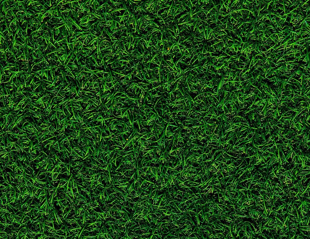 Nashville Web Design Inspo - TriStar Irrigation Lawn & Landscape