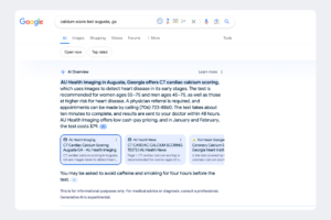 AI Overview Example - SGE